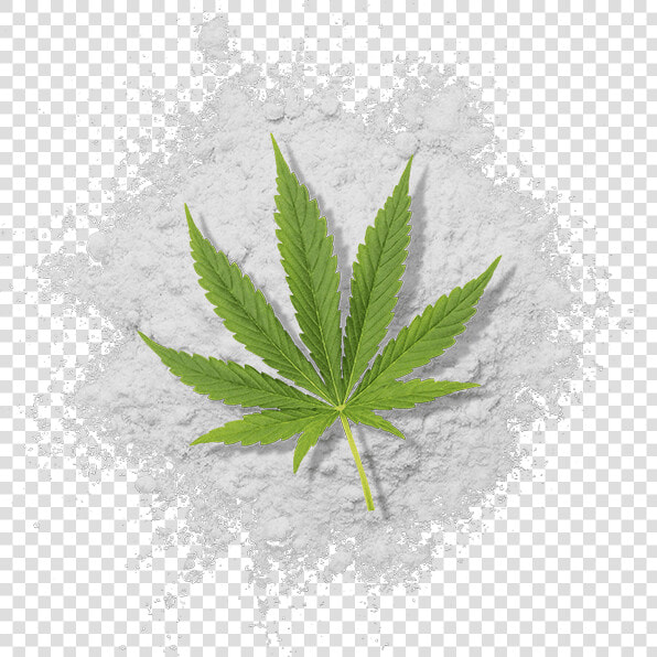 Water Soluble Thc Powder With Cannabis Leaf   Illustration  HD Png DownloadTransparent PNG