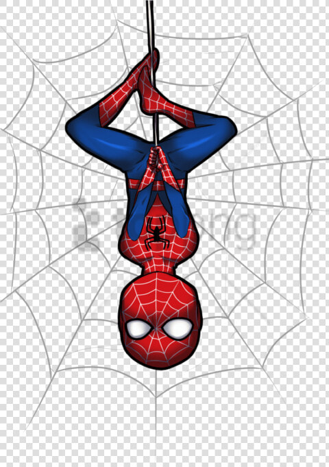 Free Png Download Spiderman Spider Web Png Images Background   Clipart Spiderman  Transparent PngTransparent PNG