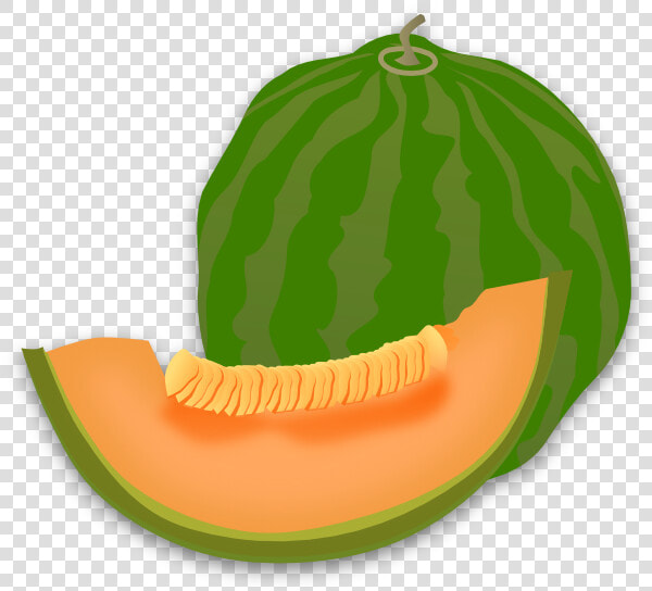 Yummy Melon Clip Art At Clker   Png Clipart Melon  Transparent PngTransparent PNG