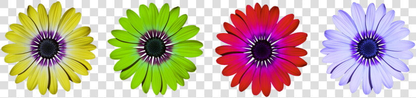 Flower Flowers Daisy Free Photo   Daisy Flower Power Clipart  HD Png DownloadTransparent PNG