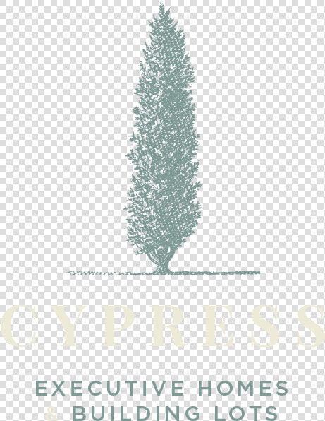 Logo Cypress White   Christmas Tree  HD Png DownloadTransparent PNG