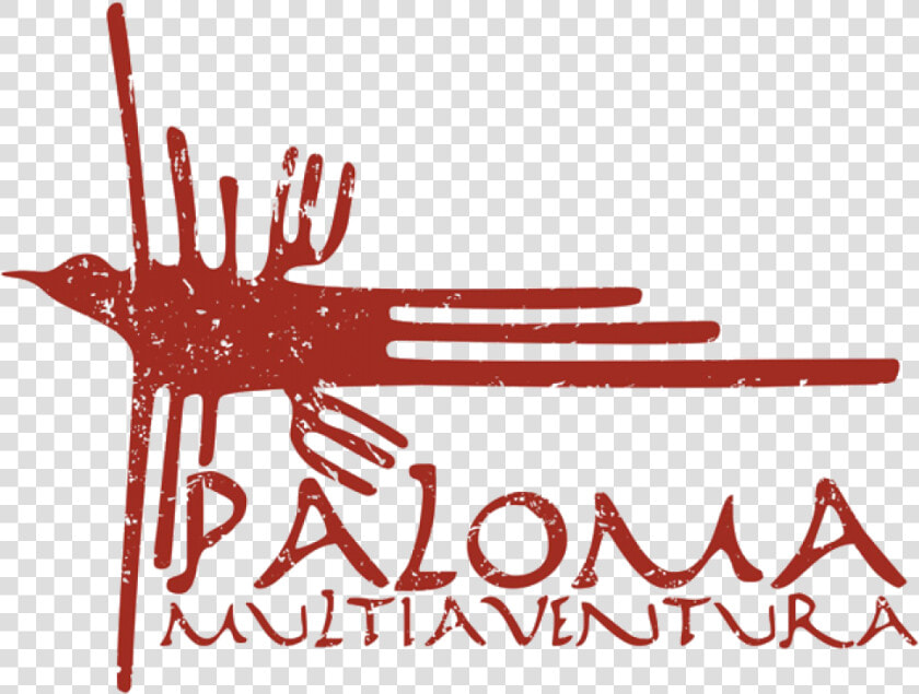 Multiaventura Paloma  HD Png DownloadTransparent PNG