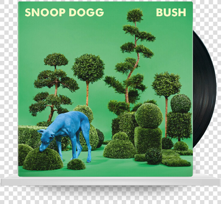 Snoop Dogg Bush   Png Download   Snoop Dogg Bush Album Cover  Transparent PngTransparent PNG