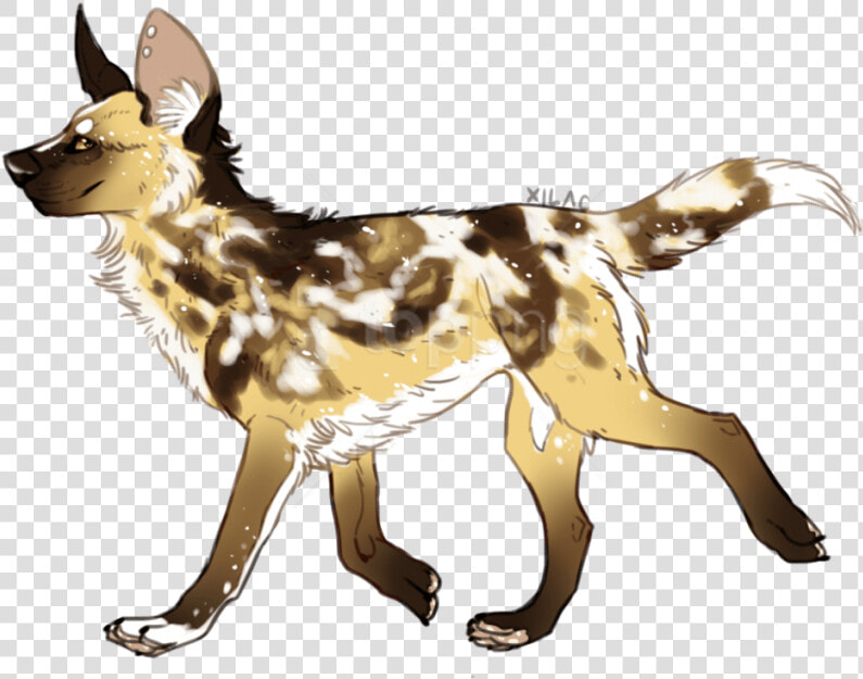 Free Png Download Wild Dogs Png Images Background Png   German Shepherd Dog Drawing  Transparent PngTransparent PNG