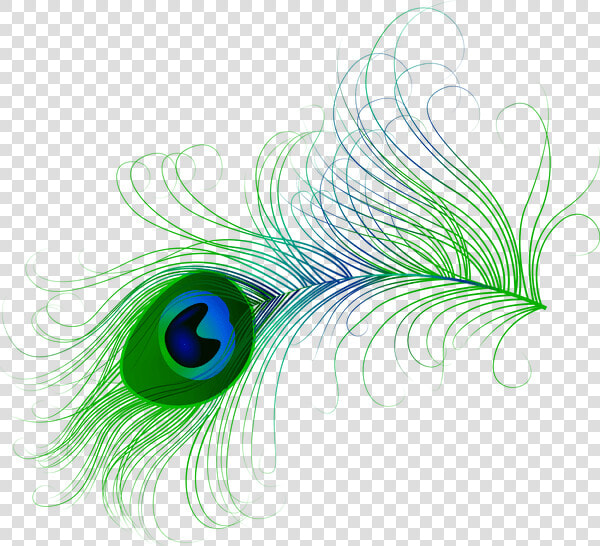 Peacock Clipart Royalty Free   Transparent Peacock Feather Png  Png DownloadTransparent PNG