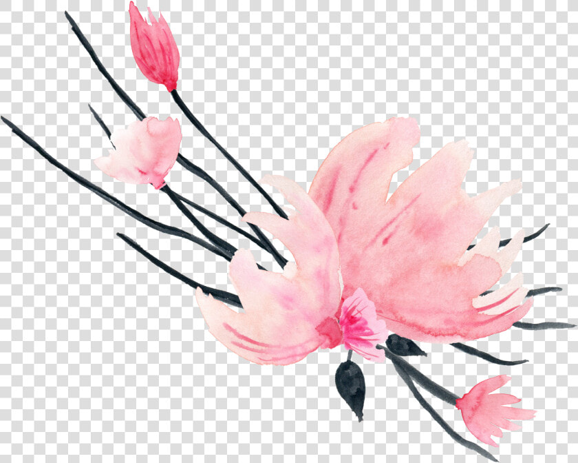  акварель  акварельныецветы  waterflower  watercolor  HD Png DownloadTransparent PNG