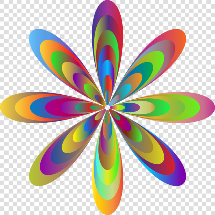 Symmetry petal circle   Circle  HD Png DownloadTransparent PNG