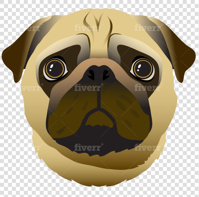 Fiverr  HD Png DownloadTransparent PNG