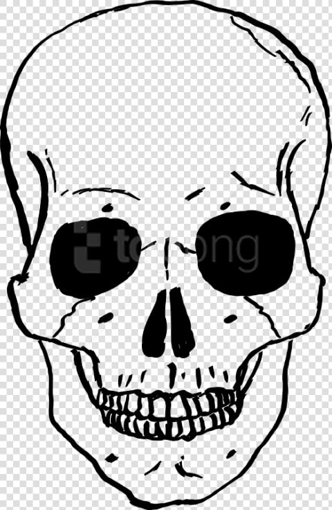 Free Png Skulls Png Images Transparent   Cartoon Skeleton Drawing  Png DownloadTransparent PNG