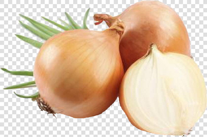 Onion Png Background Clipart   Yellow Onions  Transparent PngTransparent PNG