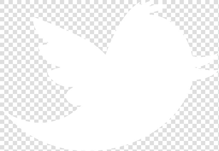 10 Best Photos Of White Transparent Twitter Bird Logo   Spiderman White Logo Png  Png DownloadTransparent PNG