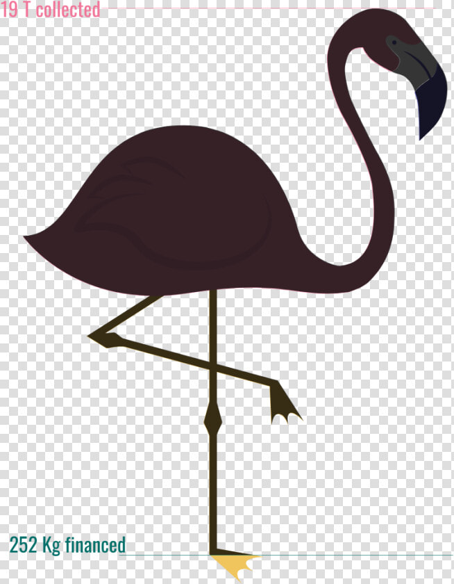 Jauge Offre Ind   Funny Flamingo Quotes  HD Png DownloadTransparent PNG