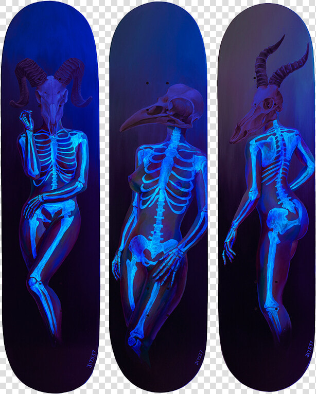 Death Of Venus Under Blacklight   Png Download   Skateboard Deck  Transparent PngTransparent PNG