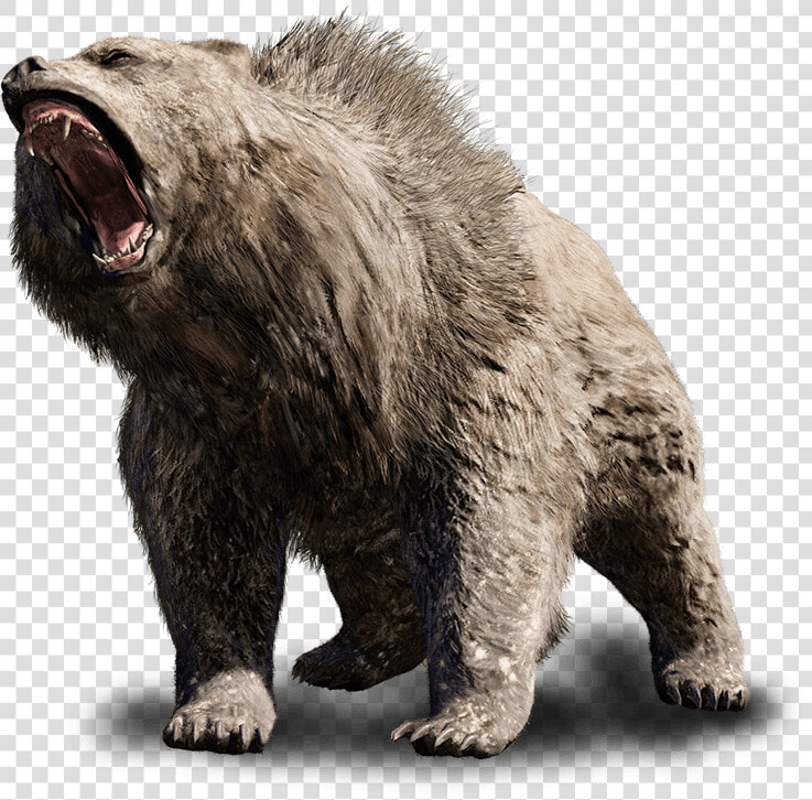 Animals  Antagonist  Great Scar Bear Steemit  HD Png DownloadTransparent PNG