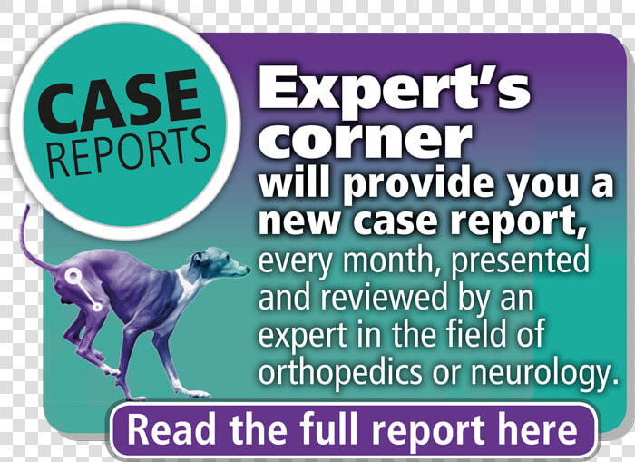 Case reports   Greyhound  HD Png DownloadTransparent PNG