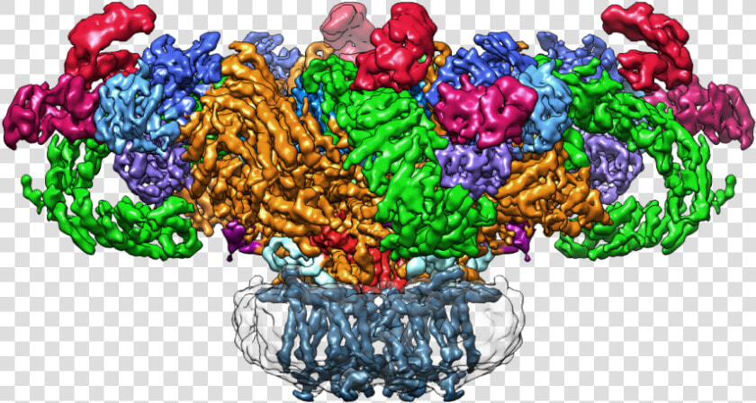 Ion Channel Nanodisc Cryo Em  HD Png DownloadTransparent PNG