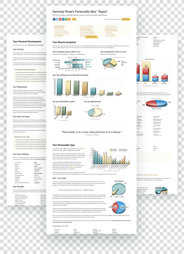 Personality Test Result Pages   Personality Test Result Page  HD Png DownloadTransparent PNG