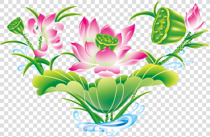 Green Hand Painted Lotus Flower Beautiful Png Clipart   Nymphaea Nelumbo  Transparent PngTransparent PNG