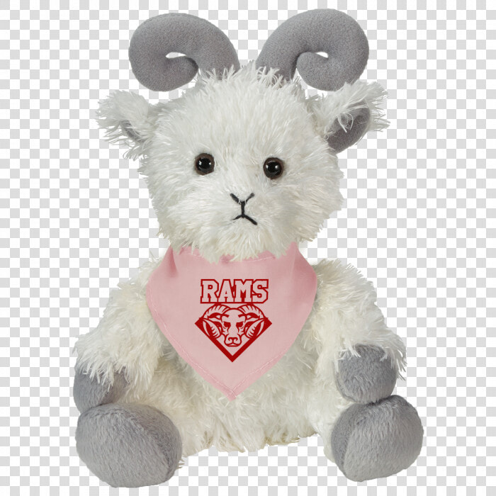 Cuddliez Ram   Teddy Bear  HD Png DownloadTransparent PNG