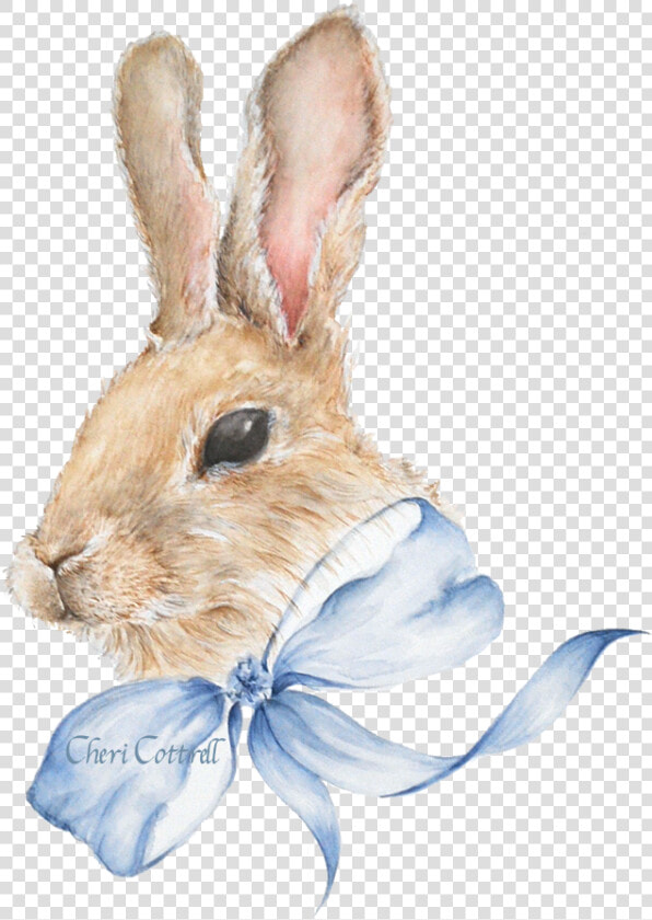 Bunny Rabbit Watercolour Png   Png Download   Bunny Transparent Background Watercolour  Png DownloadTransparent PNG