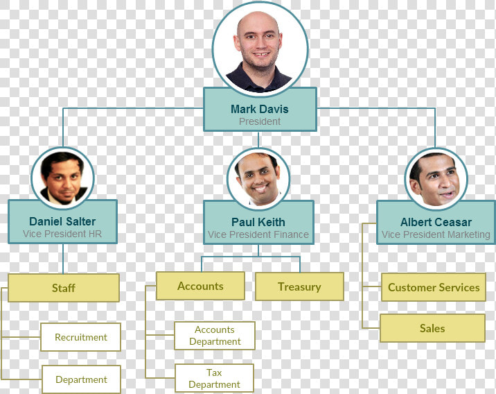 Organizational Chart For Creative Company  HD Png DownloadTransparent PNG