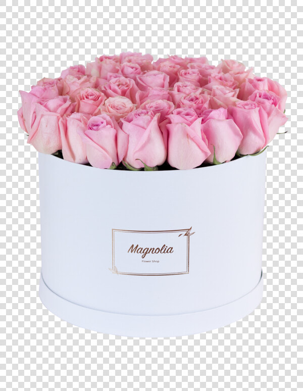 Rosa × Centifolia  HD Png DownloadTransparent PNG