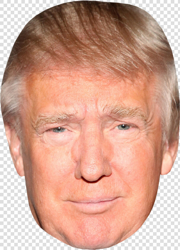 Donald Trump Head Transparent Png   Donald Trump Face  Png DownloadTransparent PNG