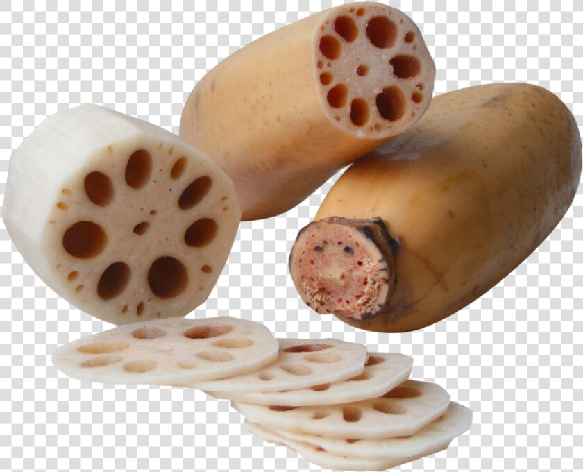 Lotus Root Png Image   Lotus Root Png  Transparent PngTransparent PNG