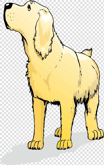 Golden Retriever Labrador Retriever Goldendoodle Labradoodle   Lab Cartoon Puppy Golden Retriever  HD Png DownloadTransparent PNG