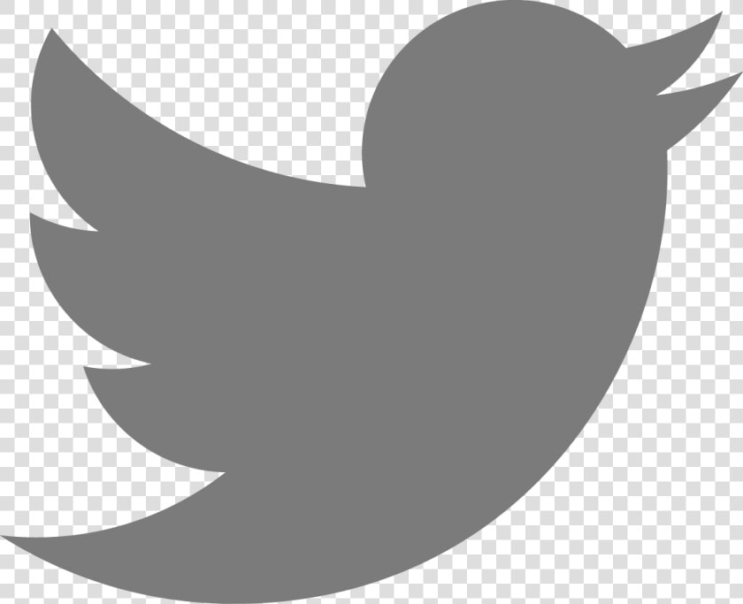 Twitter Grey Logo Png   Png Download   Logo Twitter Gris Png  Transparent PngTransparent PNG