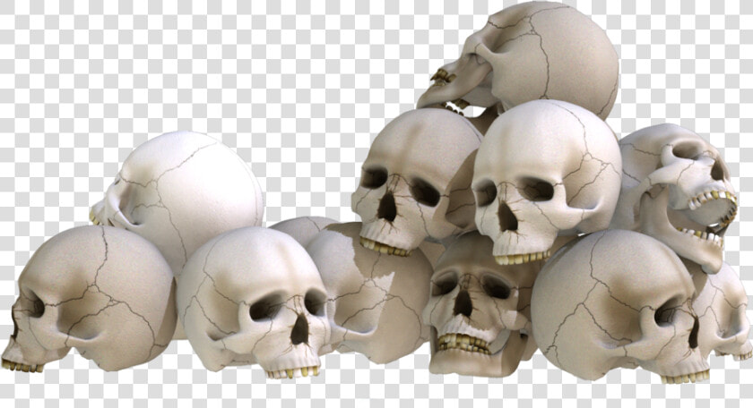 Pile Of Bones Png   Skulls Png  Transparent PngTransparent PNG