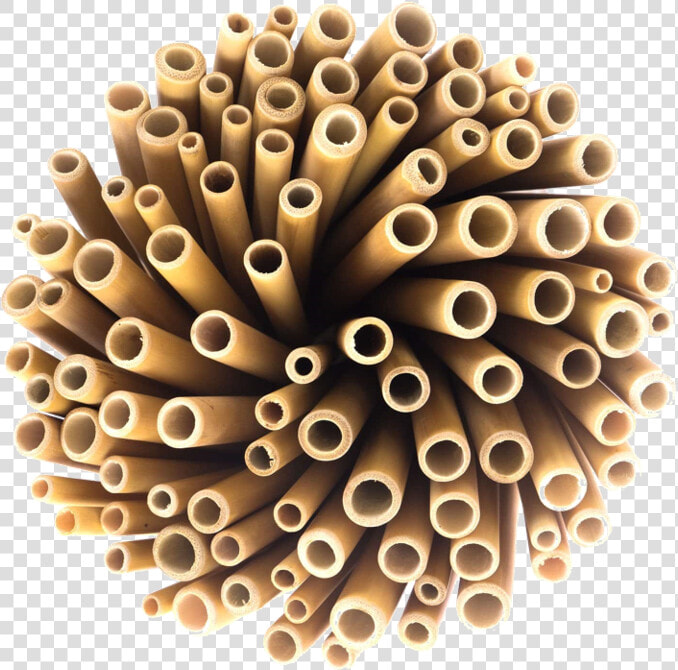 Wholesale Bamboo Straws  HD Png DownloadTransparent PNG