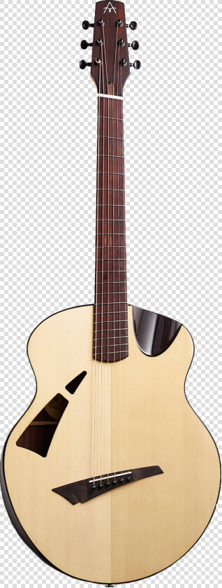 Avian Guitars  HD Png DownloadTransparent PNG