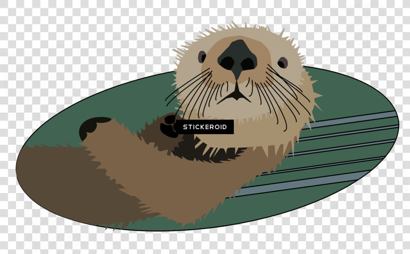 Transparent Otter Png   California Sea Lion  Png DownloadTransparent PNG