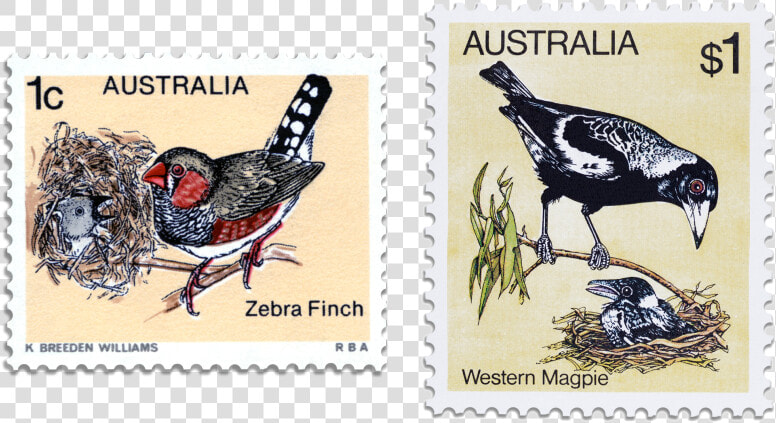 Western Australia Postage Stamps  HD Png DownloadTransparent PNG