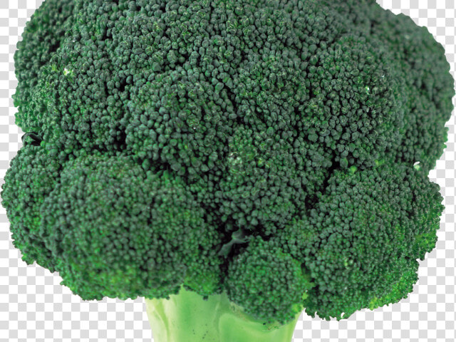 Transparent Clipart Broccoli   Broccoli Head Png  Png DownloadTransparent PNG