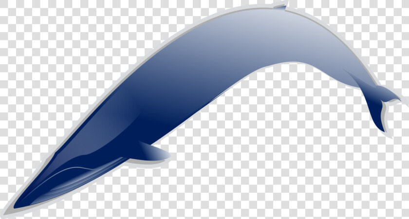 Whales Dolphins And Porpoises fish dolphin   Curev Transparent Blue Png  Png DownloadTransparent PNG