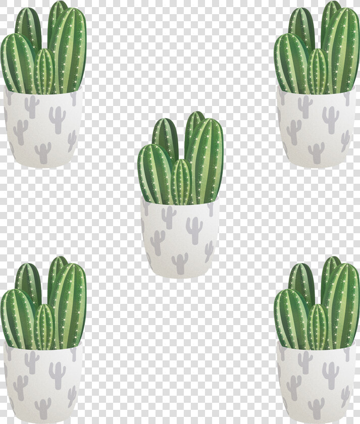 San Pedro Cactus  HD Png DownloadTransparent PNG