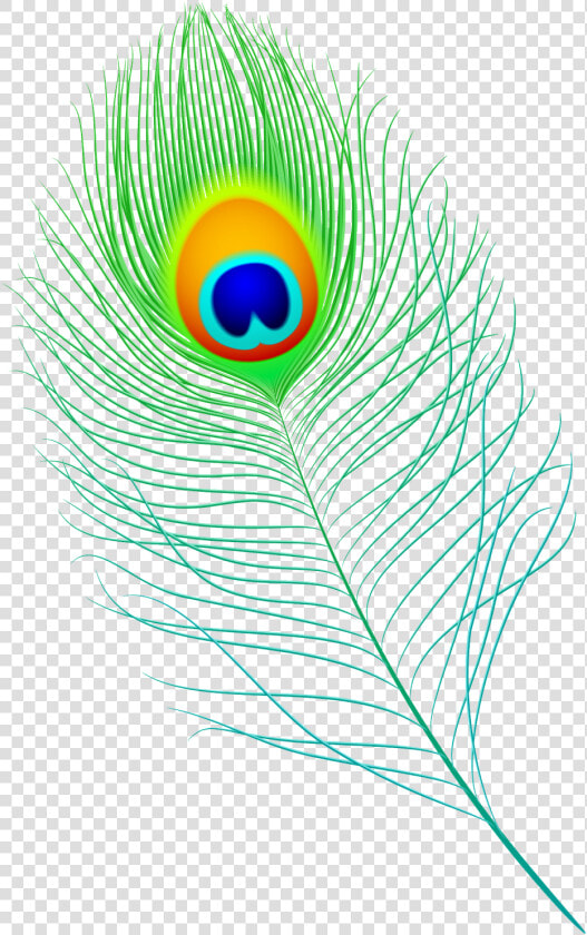 Peacock Feather Vector Png   Peacock Feather Pen Vector  Transparent PngTransparent PNG