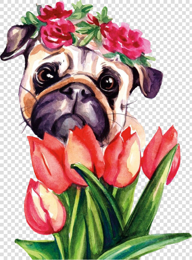  pug  puglife  floraldog  scpug  stickerchallenge  pug   Pug  HD Png DownloadTransparent PNG