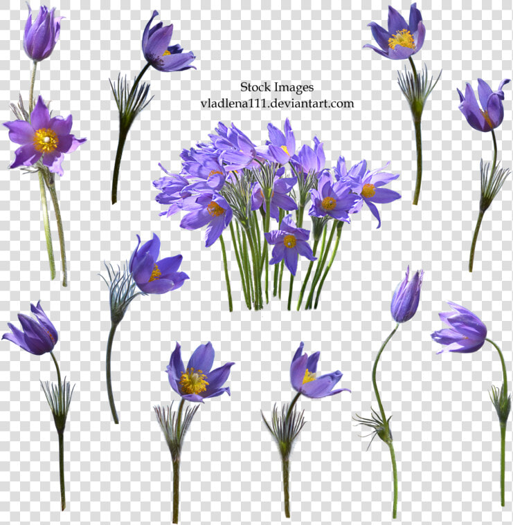 Spring Flower Transparent Background   Transparent Background Vintage Purple Flower Png  Png DownloadTransparent PNG