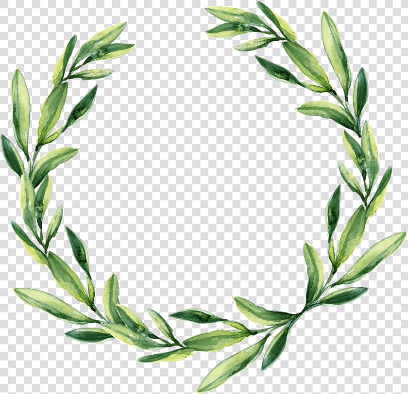 Leaf Garland Gift Wreath Watercolor Green Wedding Clipart   Transparent Background Leaf Wreath Clipart  HD Png DownloadTransparent PNG