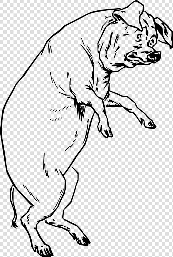 The Pig Who Had None Clip Arts   Pigs On Hind Legs  HD Png DownloadTransparent PNG