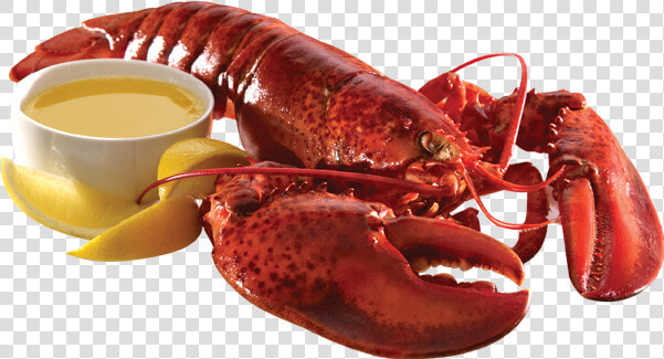 Lobster Png   Cooked Lobster Transparent Background  Png DownloadTransparent PNG