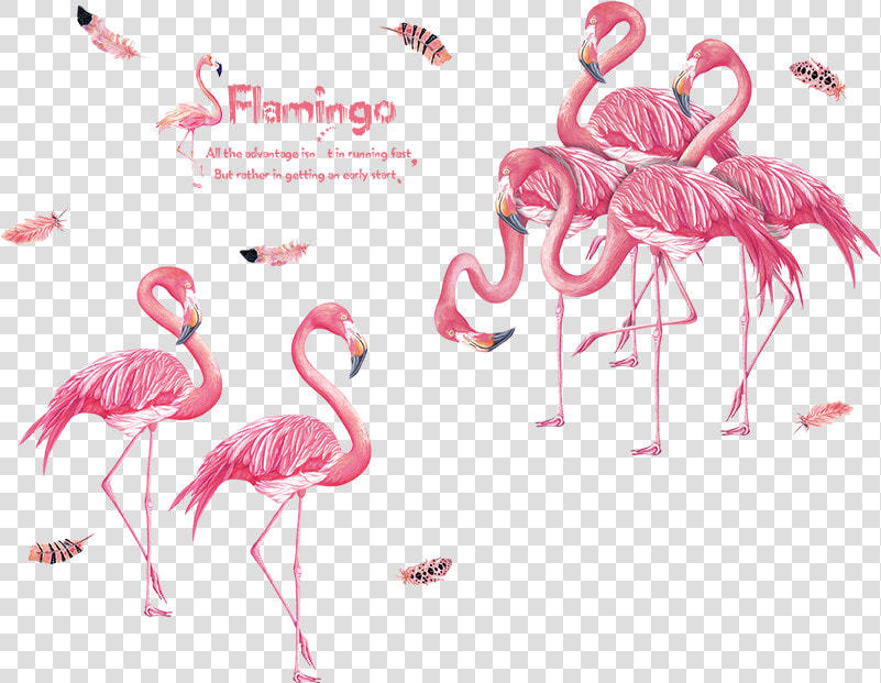 Watercolor Painted Pink Flamingo Full Color Vinyl Decal   Wall Stickers Flamingo  HD Png DownloadTransparent PNG