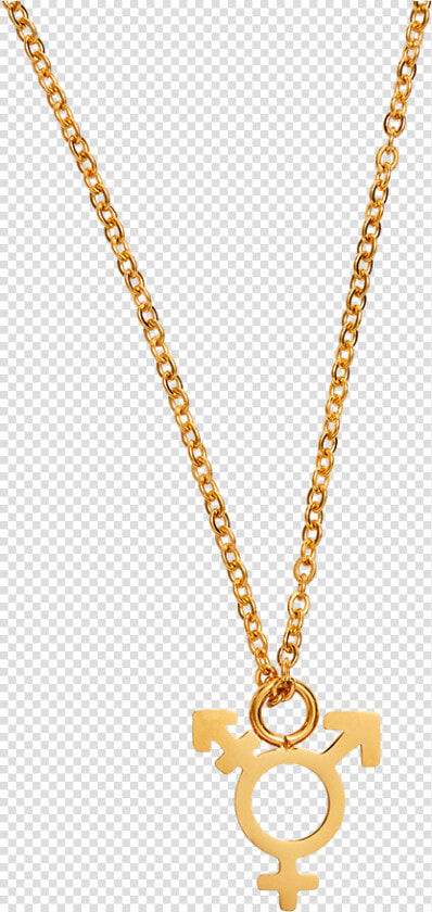 Gold Necklace With Transgender Symbol Charm   Chain  HD Png DownloadTransparent PNG