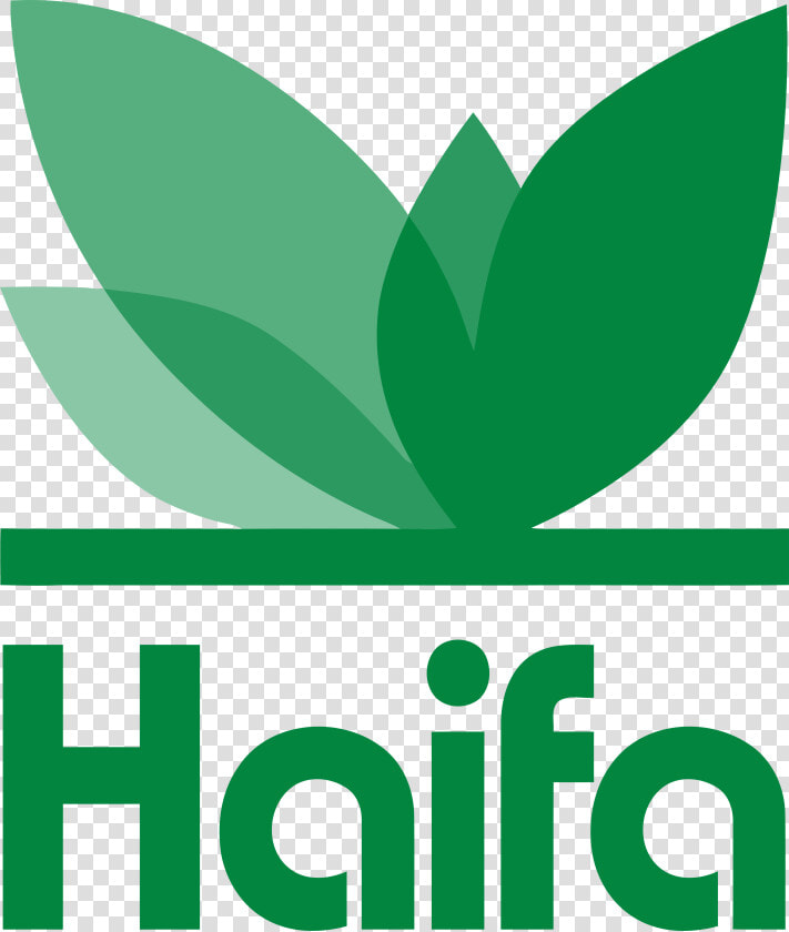 Haifa Group  HD Png DownloadTransparent PNG