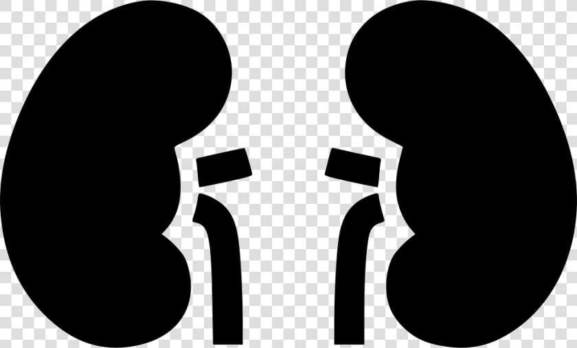 Kidney Clipart Kidney Outline   Kidneys Icon Png  Transparent PngTransparent PNG