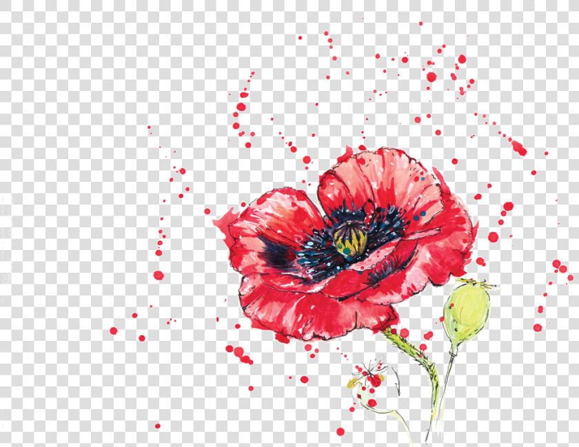 0 Replies 0 Retweets 0 Likes   Corn Poppy  HD Png DownloadTransparent PNG