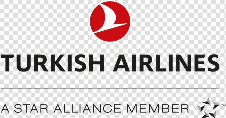 Turkish Airlines Logo 2019  HD Png DownloadTransparent PNG